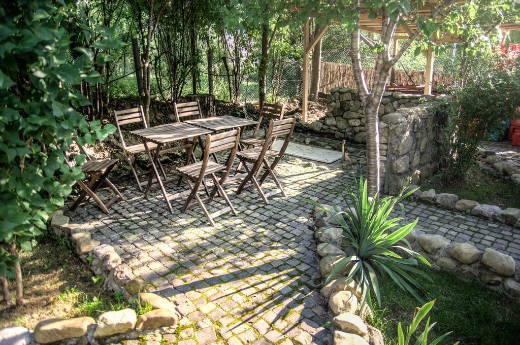 Pensiune-Restaurant Tara Luanei Sarata-Monteoru Ngoại thất bức ảnh